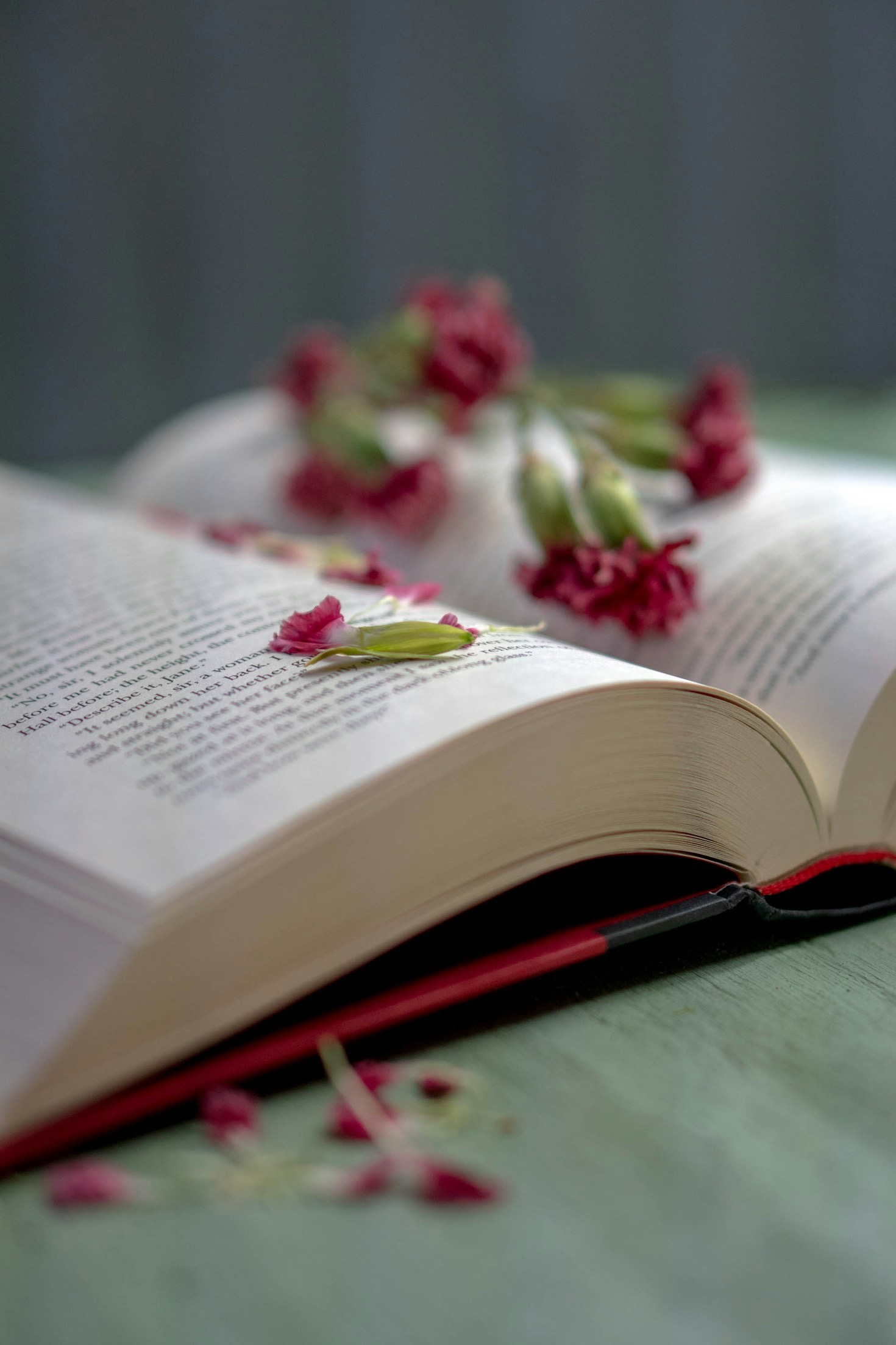 Books That Will Make You Believe in Love Again